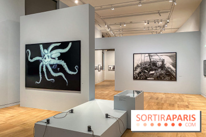 Jean Gaumy et la Mer : l'exposition maritime intimiste au Musée de la Marine