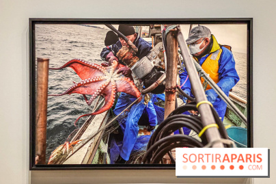 Jean Gaumy et la Mer : l'exposition maritime intimiste au Musée de la Marine