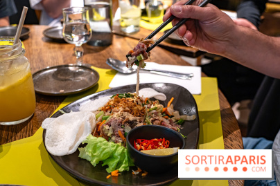 Comme au Vietnam, restaurant vietnamien Paris 13e - salade de boeuf