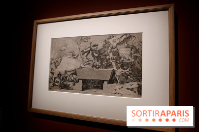 Louis-Jean Desprez, nos photos de l'expo à l'Institut suédois - Desprez Expo 12 fotor 20250515144711