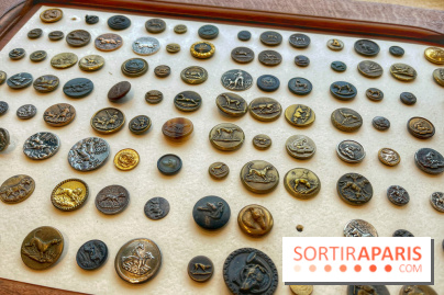 Collection dédié aux chiens - IMG 2308