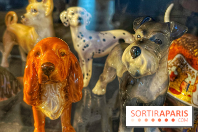 Collection dédié aux chiens