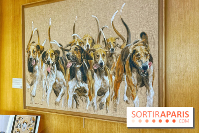 Collection dédié aux chiens - IMG 2314