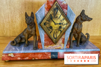 Collection dédié aux chiens