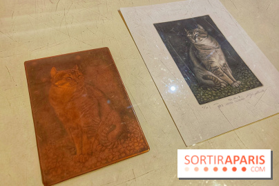 Musée Daubigny - IMG 2389