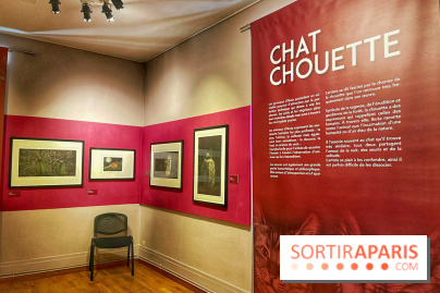 Musée Daubigny - IMG 2390