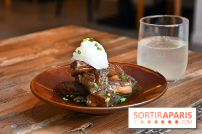 Wadon Izakaya, le restaurant japonais avec un menu Omakase gourmand à Paris - DSC 4070 Fotor