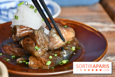 Wadon Izakaya, le restaurant japonais avec un menu Omakase gourmand à Paris - DSC 4075 Fotor