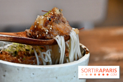 Wadon Izakaya, le restaurant japonais avec un menu Omakase gourmand à Paris - DSC 4102 Fotor