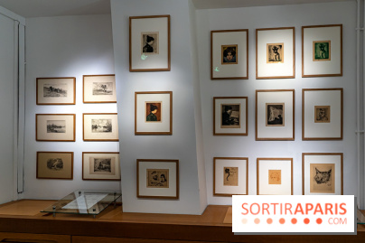 La maison du Docteur Gachet, les photos - A7C08617