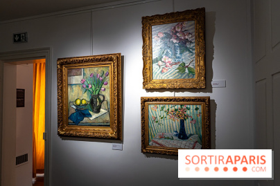 La maison du Docteur Gachet, les photos - A7C08618