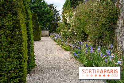 Exposition Van Gogh, les derniers voyages - photos - A7C08679