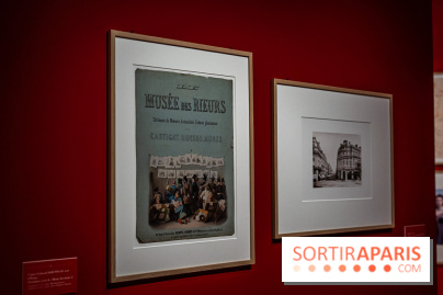 Exposition Van Gogh, les derniers voyages - photos - A7C08715