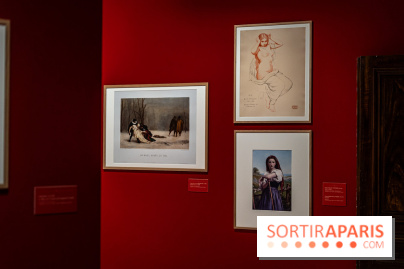 Exposition Van Gogh, les derniers voyages - photos - A7C08717