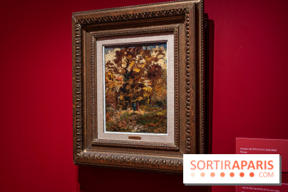 Exposition Van Gogh, les derniers voyages - photos - A7C08719