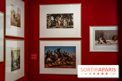 Exposition Van Gogh, les derniers voyages - photos - A7C08721