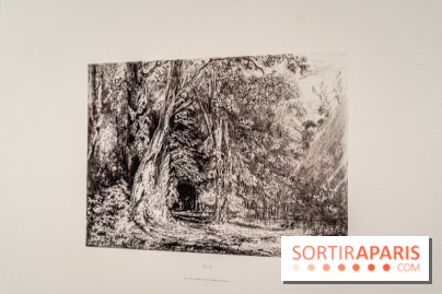 Exposition Van Gogh, les derniers voyages - photos