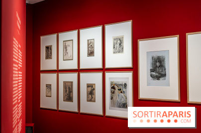 Exposition Van Gogh, les derniers voyages - photos - A7C08726