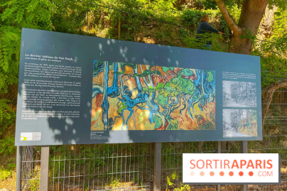 Encore plus d'Auvers-sur-Oise - IMG 2397