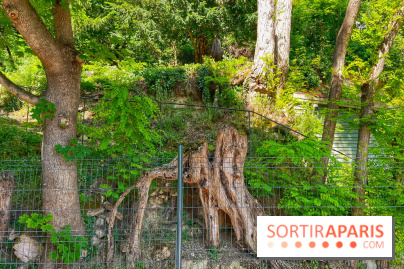 Encore plus d'Auvers-sur-Oise - IMG 2399