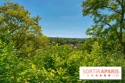 Encore plus d'Auvers-sur-Oise - IMG 2403