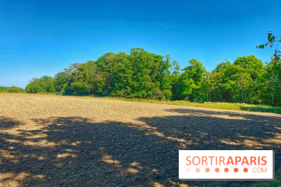 Encore plus d'Auvers-sur-Oise - IMG 2404