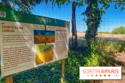 Encore plus d'Auvers-sur-Oise - IMG 2405