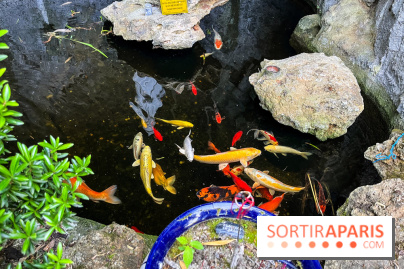 La pagode Trúc Lâm Thiền Viện - nos photos - image00021