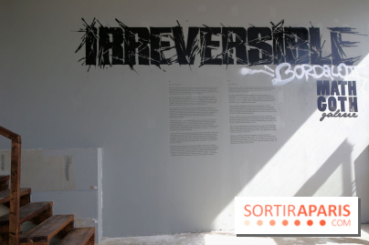 Bordalo II présente son exposition « Irréversible » à Paris, nos photos - Expo Bordalo 7