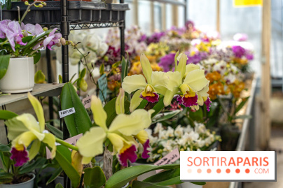 Jardins jardin 2025, les photos  - A7C09390