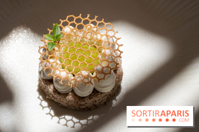 La terrasse estivale d'Apicius - A7C08922