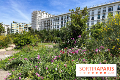 Jardin Anna Marly - nos photos - image00010