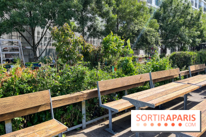 Jardin Anna Marly - nos photos - image00005