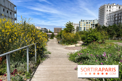 Jardin Anna Marly - nos photos - image00002