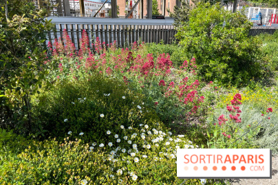 Jardin Anna Marly - nos photos - image00001