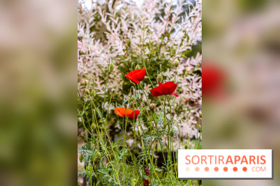 Les Jardins de Juliette à Elancourt