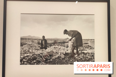 Marie-Laure de Decker exposition MEP - fotor 1748953185853