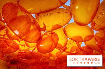 Euphoria - IMG 2730 2