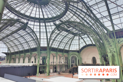 Grand Palais, visuels du monument parisien