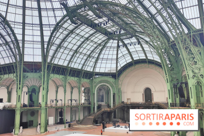 Grand Palais, visuels du monument parisien - fotor 1749119586503