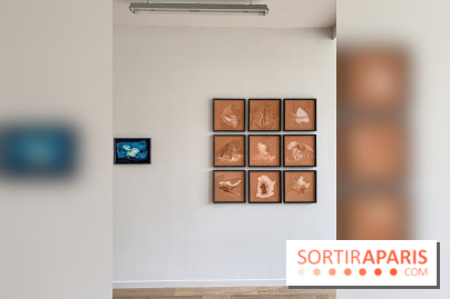 Exposition de Fred Atlan à la galerie Rachel Hardouin : au creux de mes paupières