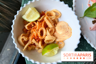 Daroco Bourse - Encornets frits