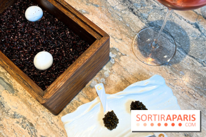 Restaurant Alan Geaam - Meringue de caviar et labneh