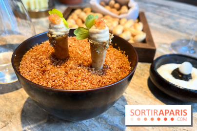 Restaurant Alan Geaam - Houmous, citron caviar, praliné graine de courge