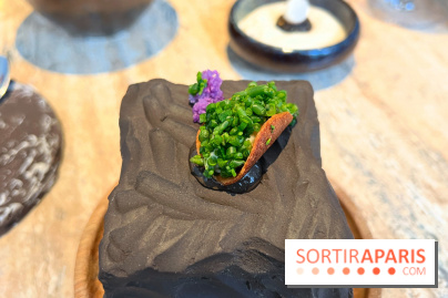 Restaurant Alan Geaam - Tacos de baba ganoush, feuille d'huître, raisin de mer