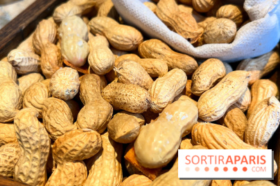 Restaurant Alan Geaam - Cacahuète au foie gras, combava, piment de cayenne