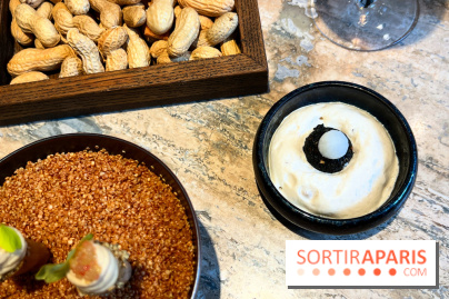 Restaurant Alan Geaam - Mini falafel, labhan, vierge de pois chiche, pickles radis