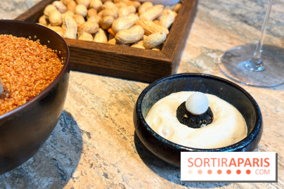 Restaurant Alan Geaam - Mini falafel, labhan, vierge de pois chiche, pickles radis