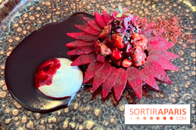 Restaurant Alan Geaam - Le Thon rouge Betterave, sésame noir, épices kamouneh