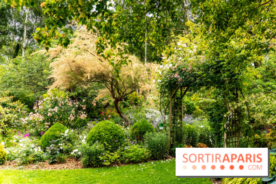 Le Jardin des Aubépines a Auffargis  - A7C01344